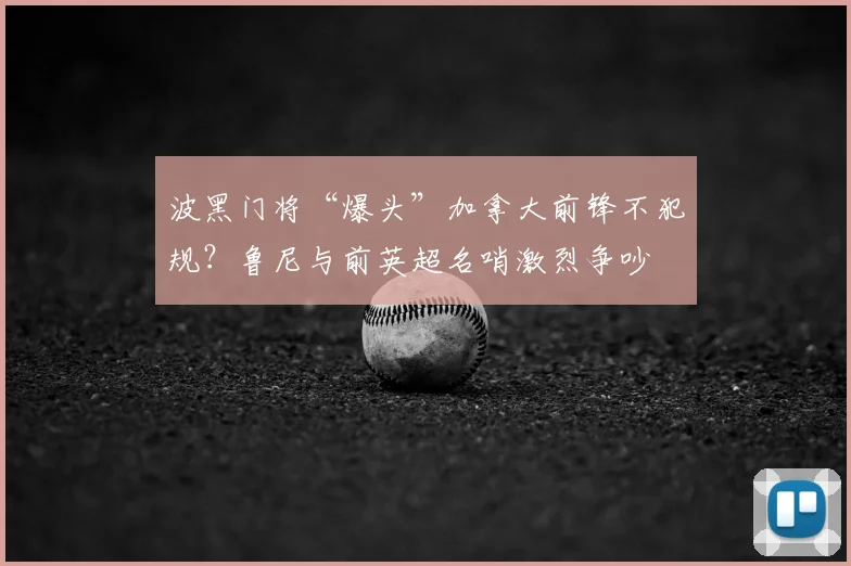 波黑门将“爆头”加拿大前锋不犯规?鲁尼与前英超名哨激烈争吵