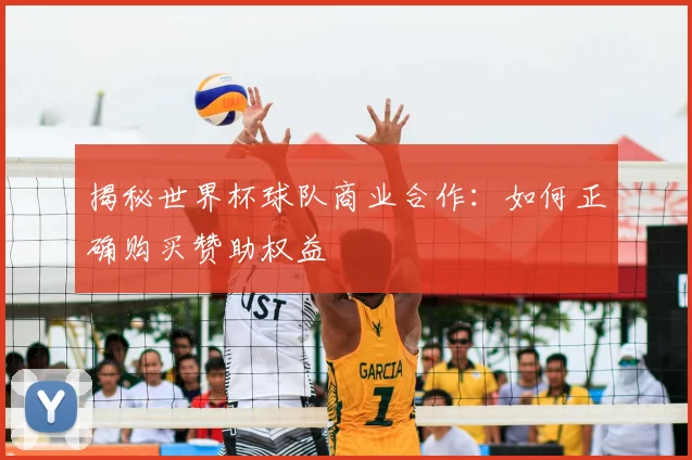 揭秘世界杯球队商业合作:如何正确购买赞助权益