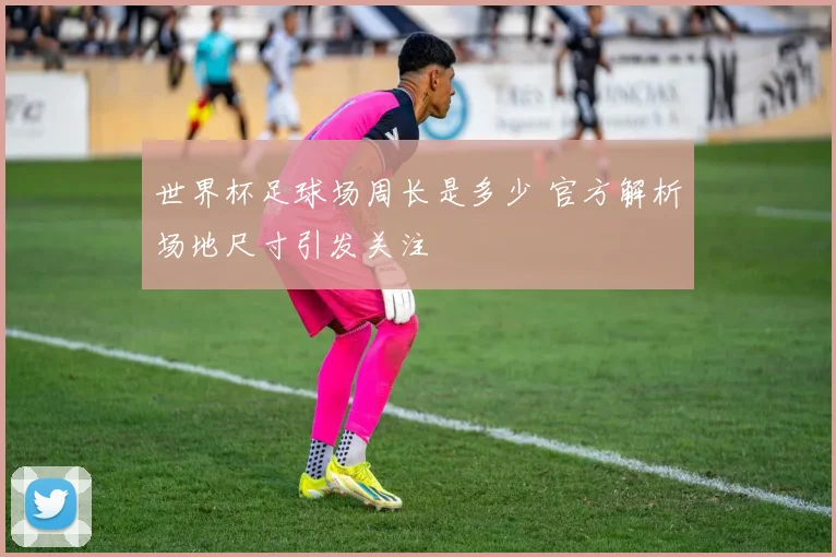 世界杯足球场周长是多少 官方解析场地尺寸引发关注