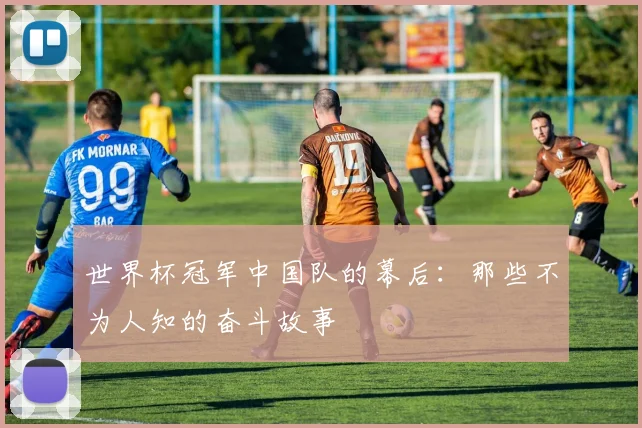 世界杯冠军中国队的幕后：那些不为人知的奋斗故事