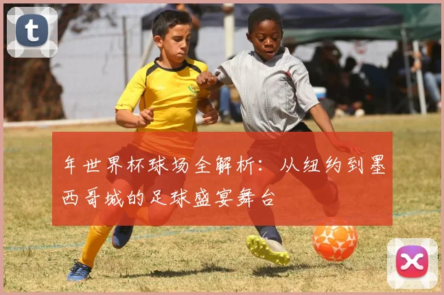 年世界杯球场全解析：从纽约到墨西哥城的足球盛宴舞台