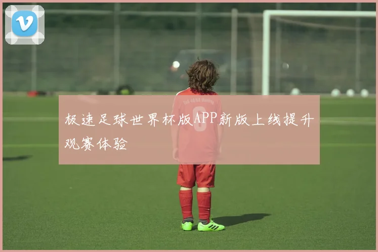 极速足球世界杯版APP新版上线提升观赛体验