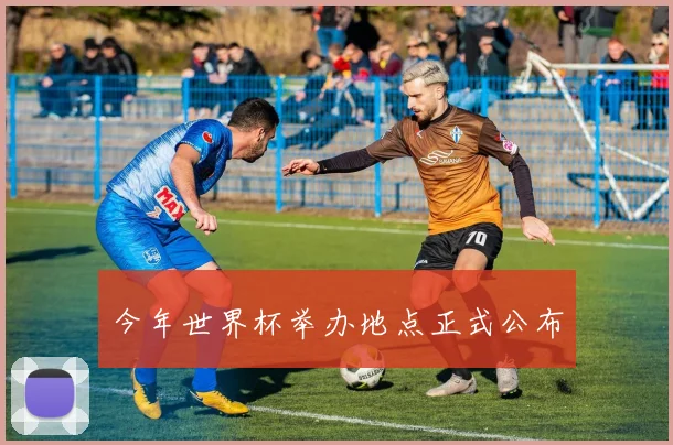 今年世界杯举办地点正式公布