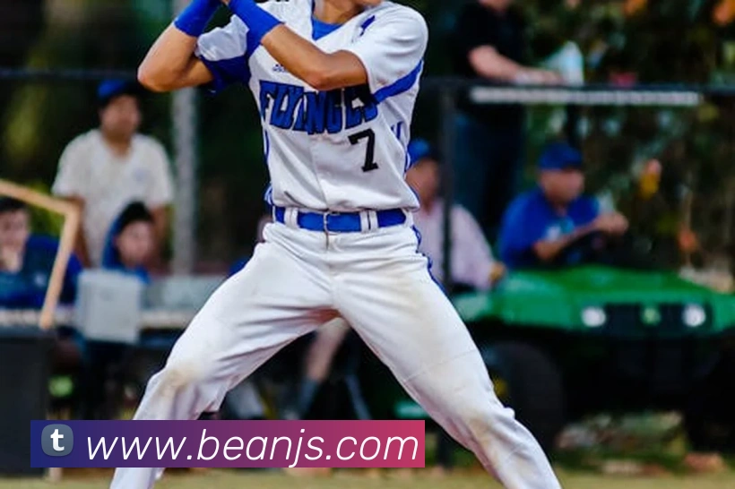 世界杯官网中文版平台生态图